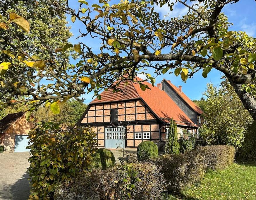 Ferien Im Alten Pfarrhaus Appartement Steinhorst